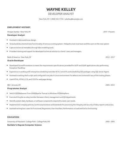Developer Analyst Resume